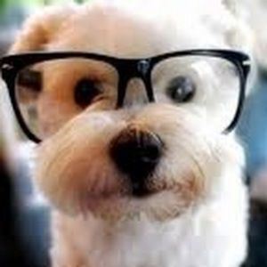 Meet your Posher, Alma